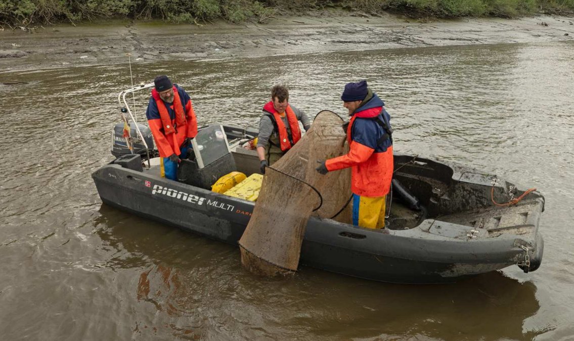 LifewatchBE's tweet image. 🐟 The twaite shad is back in the Scheldt River after 100 years! Known as "May fish," it spawns in late spring. @INBOVlaanderen Researchers track their remarkable return with #LifeWatch acoustic telemetry.
👉Learn more: shorturl.at/Kt1W4
@oscibio