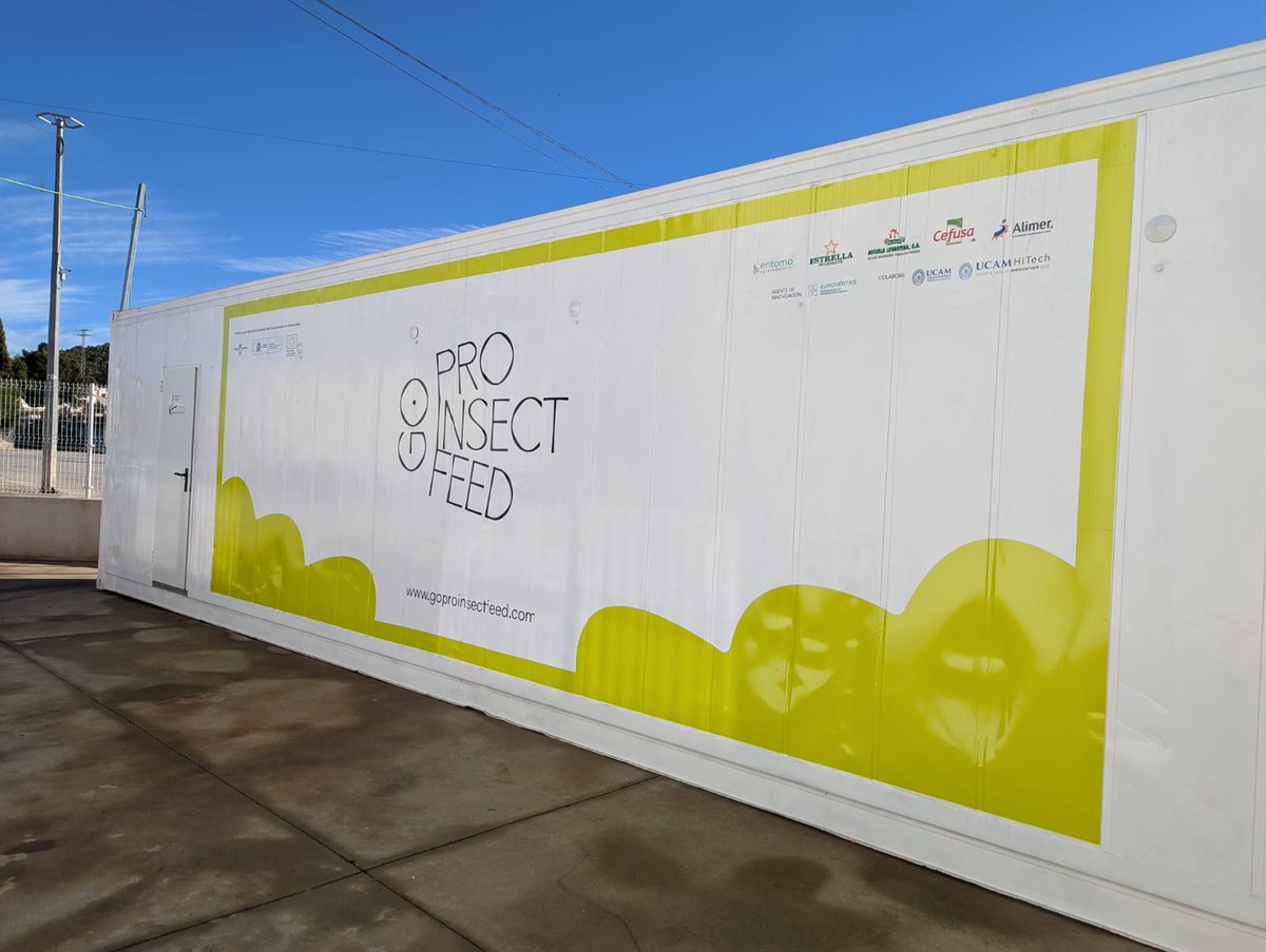 🐛🌾 Innovación sostenible: Proinsectfeed desarrolla proteínas a partir de insectos, beneficiando tanto al medio ambiente como a la economía ganadera. #GanaderíaSostenible #Sostenibilidad #Innovación
