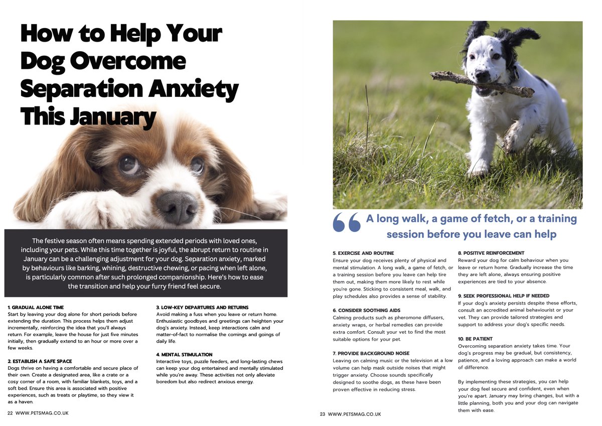 Pets_Mag's tweet image. 🐾 Why Do Puppies Struggle with Separation Anxiety? 🐾

Explore new research from the @RoyalVetCollege  &amp;amp; @DogsTrust 🐶💖 Learn how early-life experiences shape behaviour and get tips to ease anxiety.

📖 Read now: petsmag.co.uk/pets-magazine-…

#SeparationAnxiety #PuppyCare #DogLovers