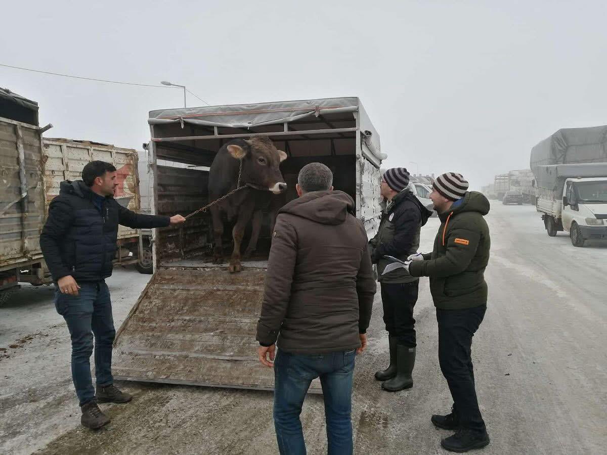 ardahantarim's tweet photo. Hayvan Hareketleri ve Bulaşıcı Hayvan Hastalıkları Tespitine Yönelik Hayvan Pazarları Denetimlerimiz
@TCTarim @ibrahimyumakli @ArdahanValiligi @fatih_cineviz https://t.co/5DfOvhGqsF