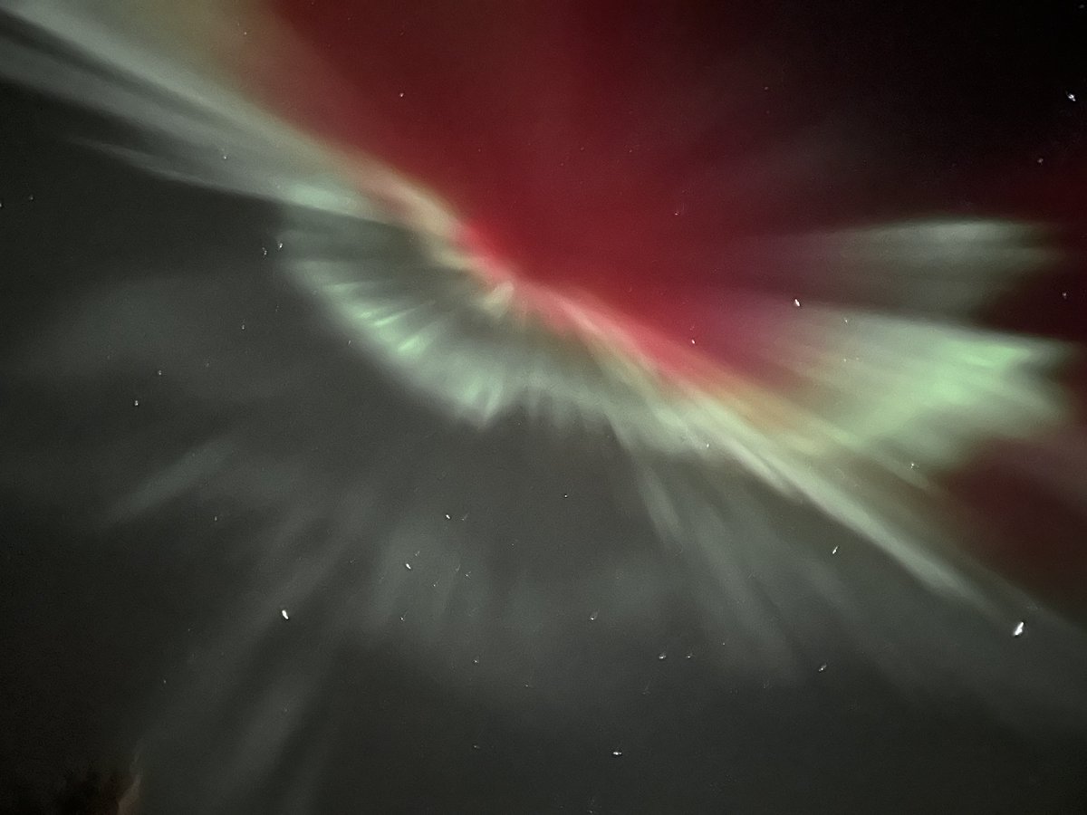 Maxime Bonnet tweet media