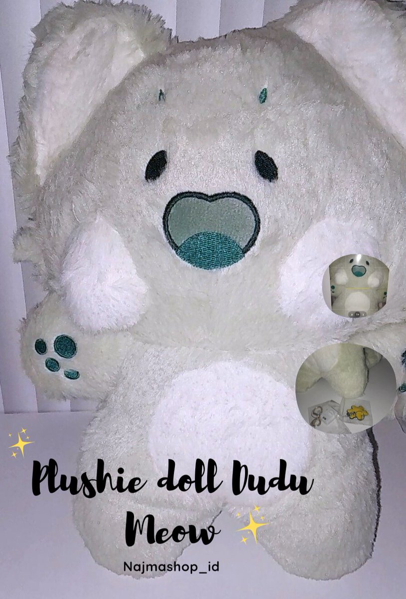 ⛅️sky bear🐻🍀 tweet media