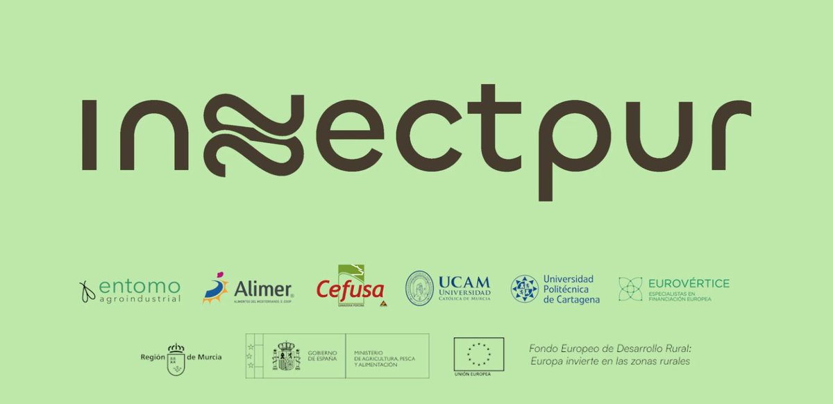 Gracias a la colaboración de Entomo Agroindustrial, CEFU S.A., Alimer, UPCT, UCAM y Eurovértice, Insectpur está marcando el camino hacia una agricultura más sostenible y eficiente. #Colaboración #Sostenibilidad