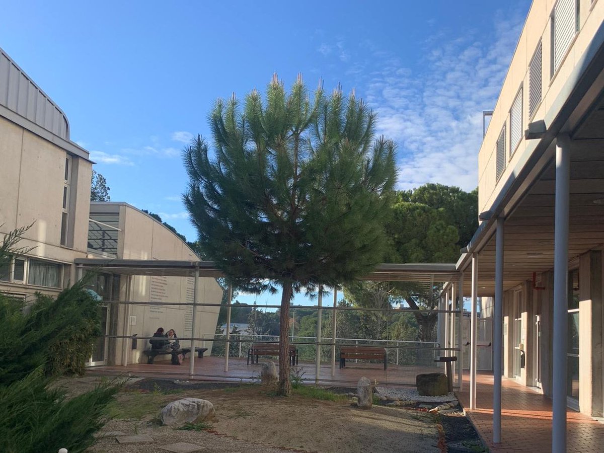 Bon dia! 🌞

La FTI us desitja una bona tornada de les vacances.⭐️

💪Molts ànims pels exàmens i les avaluacions úniques!