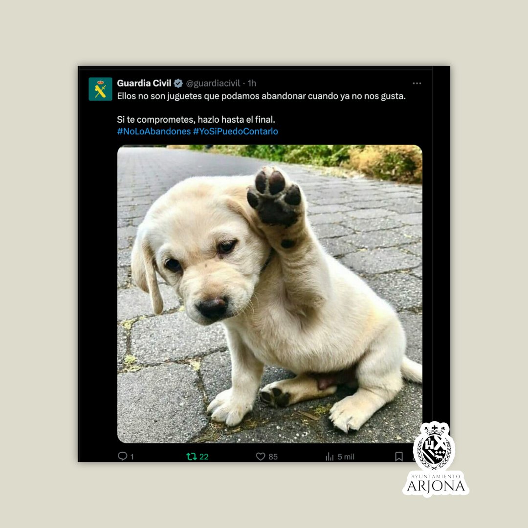 AytoArjona's tweet photo. #compartimos ☺️
No son juguetes 🐶😺
Si te comprometes, hazlo hasta el final.
#aytoarjona 🏛️
#guardiacivil062 🟢 https://t.co/jXQw0pG5Op