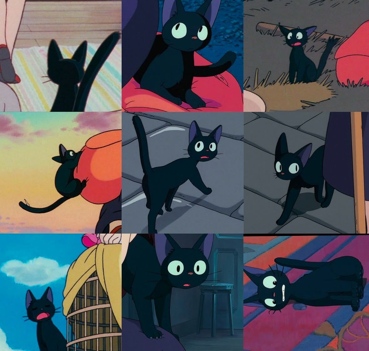 blackscats's tweet photo. Jiji 🐈‍⬛ https://t.co/9D8Nyr76pI