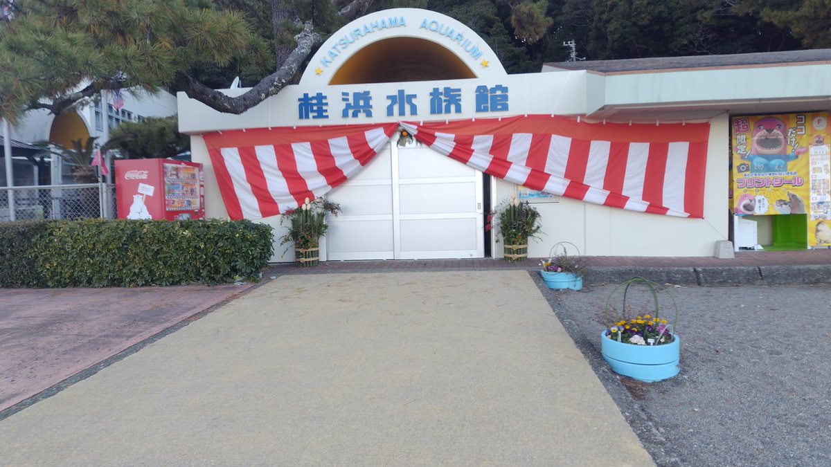 6mgn25per's tweet photo. 水族館にも行ってきた https://t.co/8z8wMiCxvT