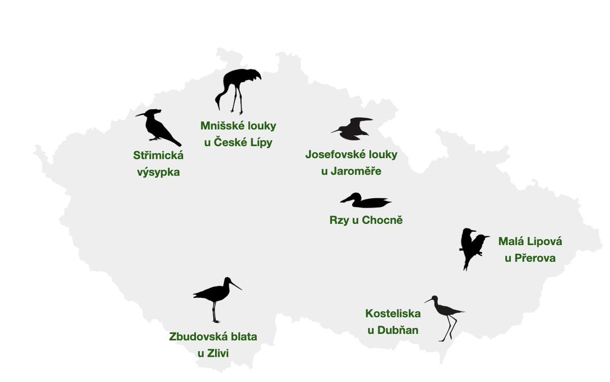 Česká společnost ornitologická went to bsky (@birdlifecz) on Twitter photo 7⃣ <a href="/birdlifecz/">Česká společnost ornitologická went to bsky</a> zakládá sedmý ptačí park na Střimické výsypce v Ústeckém kraji. S 251 hektary bude největším parkem ČSO.
birdlife.cz/strimicka-vysy…
🌳 Prozatím je výsypka fádním územím, které plánujeme změnit na cenné biotopy - atraktivní pro ptáky i lidi.
Děkujeme za podporu! 7⃣ <a href="/birdlifecz/">Česká společnost ornitologická went to bsky</a> zakládá sedmý ptačí park na Střimické výsypce v Ústeckém kraji. S 251 hektary bude největším parkem ČSO.
birdlife.cz/strimicka-vysy…
🌳 Prozatím je výsypka fádním územím, které plánujeme změnit na cenné biotopy - atraktivní pro ptáky i lidi.
Děkujeme za podporu!