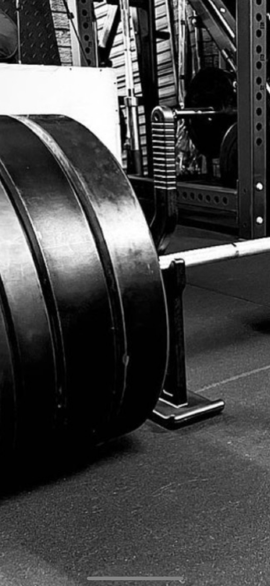 BarbellJack's tweet photo. black and white shot of our beautiful jack 🔥 💪 😎 

GET 10,000 VISITOR YEARLY | FREE COLLABORATION
We get an average of 10,000 visitors yearly per blog post and we can feature your business for free. Let us know which of our blogs or articles is related to your business or https://t.co/CmXCBgRg9S