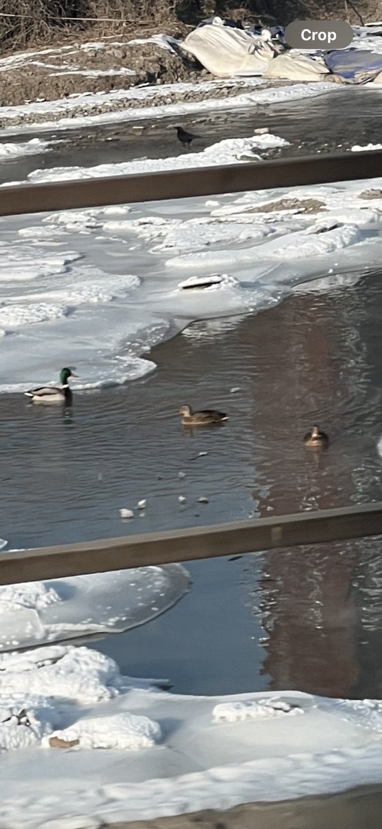 сайн талыг харья (@czuruu) on Twitter photo 