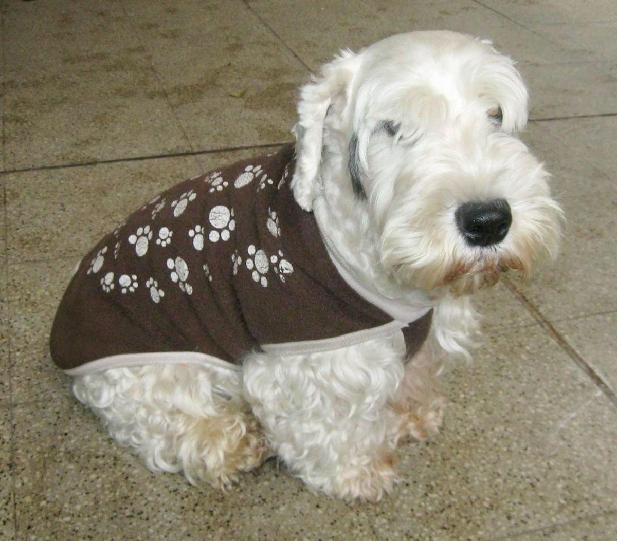 mourninglambs's tweet image. I’m not as strong as I want to be but I know I will be with time