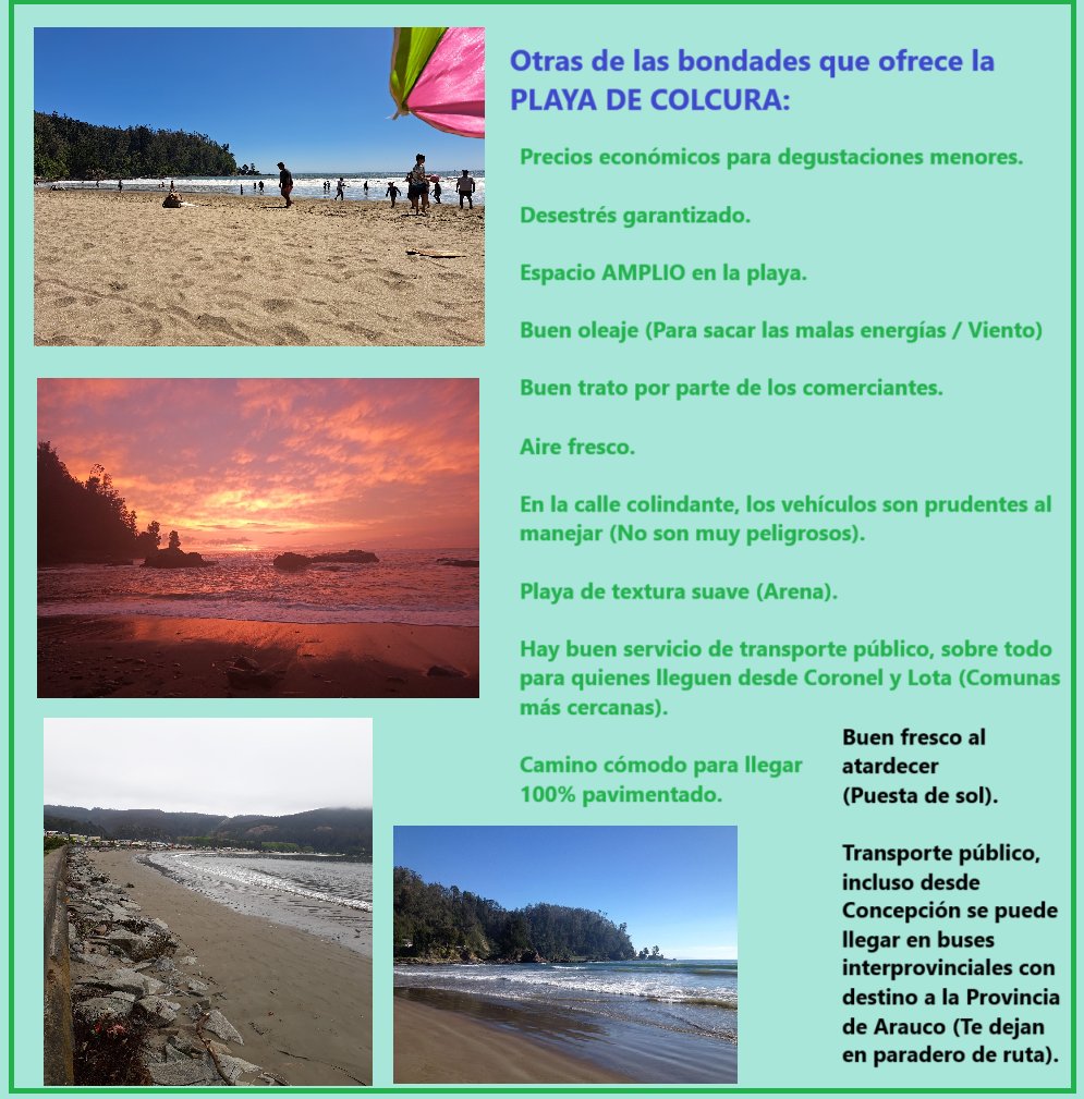 BioPasan's tweet photo. Dato express del verano 2025
#Colcura 

En estas cuatro infografías tu verás algunas de las bondades que ofrece la playa de Colcura
En la salida de Lota hacia la Provincia de Arauco 

TT

Cobreloa  Pablo Muñoz Hoffman 
Luis Miguel 

@SernaturBioBio @Sernatur @MarcaChile https://t.co/bkroTIM0eJ