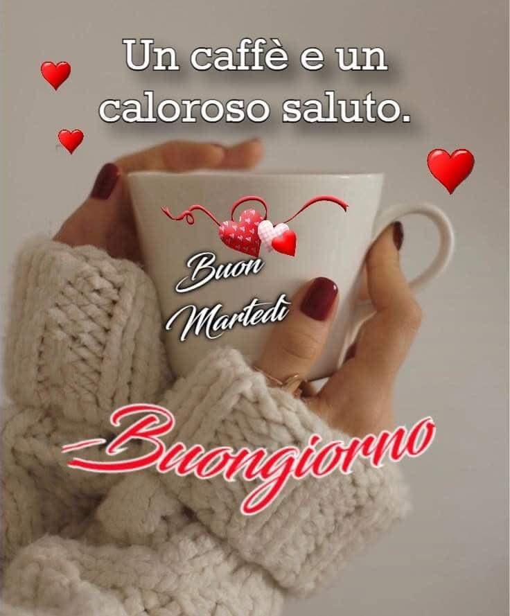 RITABIANCHi56 tweet media