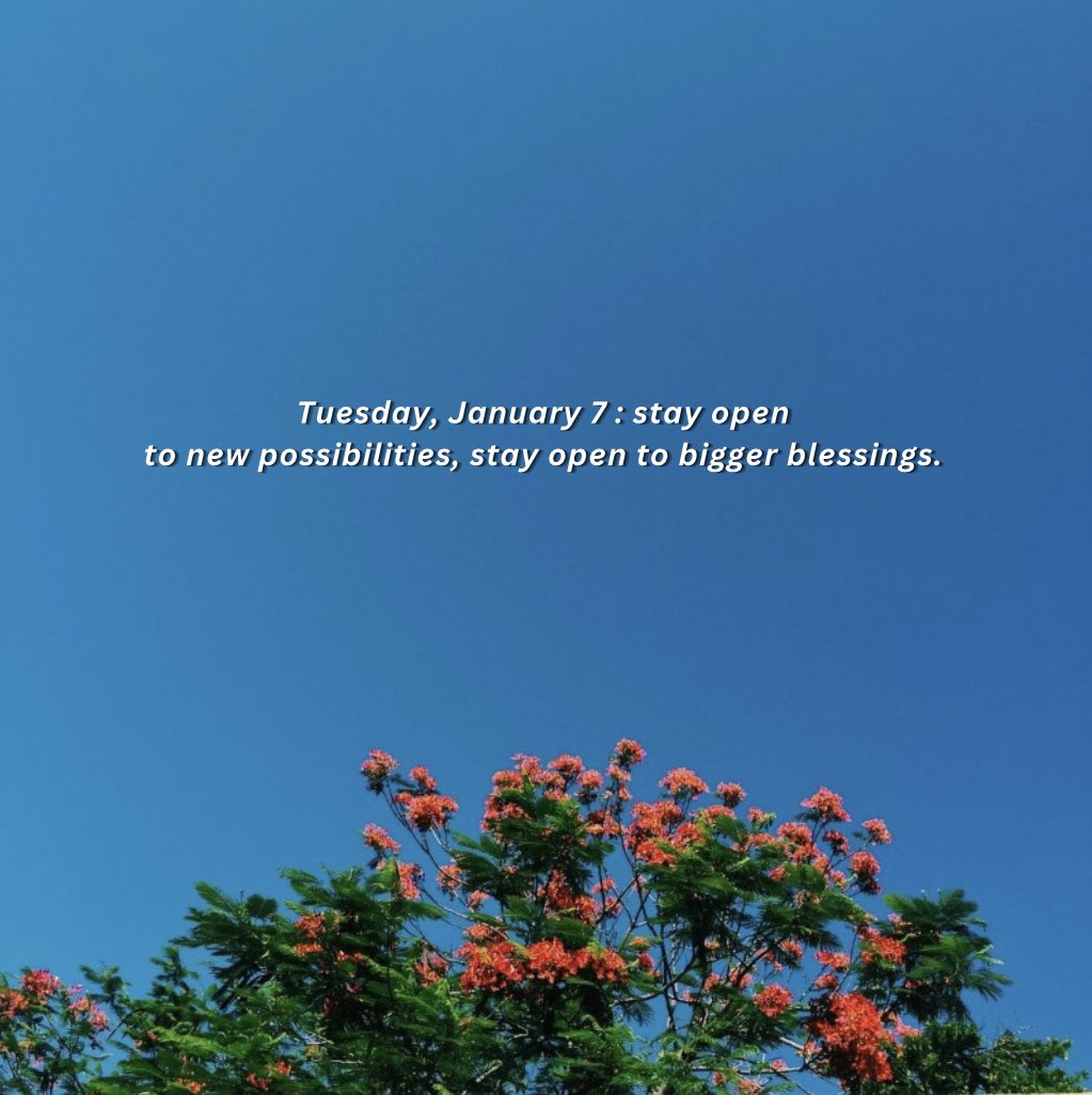 malicknoir's tweet image. 