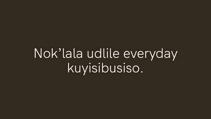 🤍