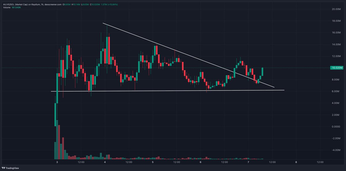 Hybrid Whales™ tweet media