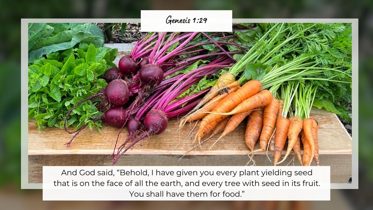 laudatosicentre (@laudatosicentre) on Twitter photo Celebrate #Veganuary this January by swapping out some of your meat choices to plant-based alternatives - even just for one day a week! 🥕🥦🌽
Why not join our Veganuary recipe swap and cooking session on 28 January? Email laudatosi@dioceseofsalford.org.uk to find out more! Celebrate #Veganuary this January by swapping out some of your meat choices to plant-based alternatives - even just for one day a week! 🥕🥦🌽
Why not join our Veganuary recipe swap and cooking session on 28 January? Email laudatosi@dioceseofsalford.org.uk to find out more!