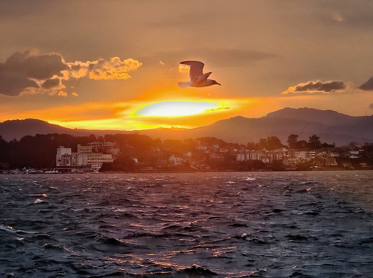 Buenos días y al lío 🐦 ¡Vuelta a la rutina! #FelizMartes 

Desde Santander - Cantabria - <a href="/spain/">Spain</a>