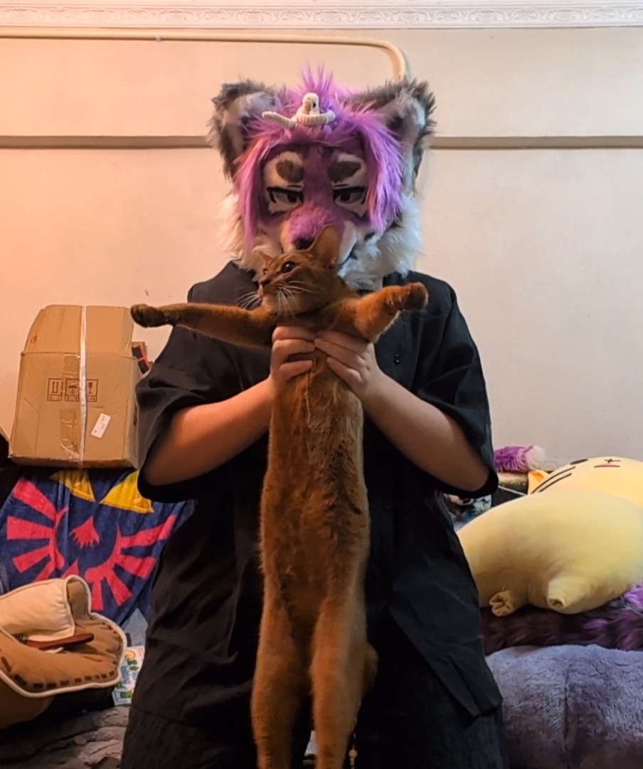 我的貓有小肚肚
#fursuit 
#cat