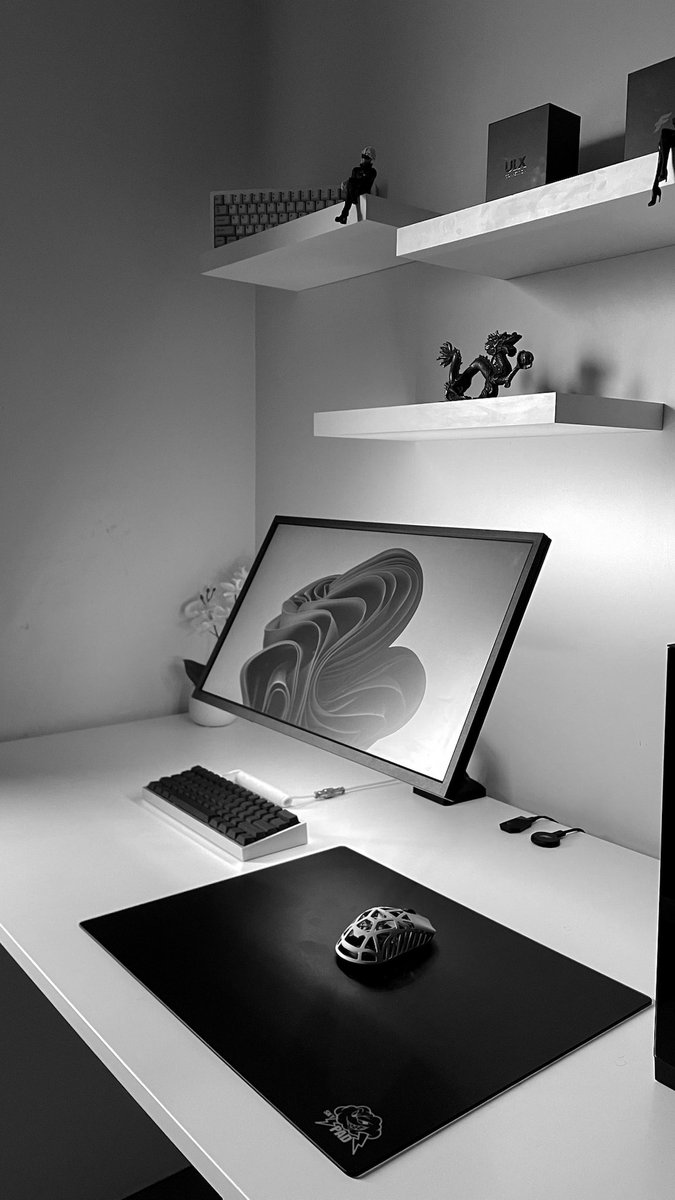 xvirdc's tweet photo. Optimum setup 🩶 https://t.co/hETKmsLVWn