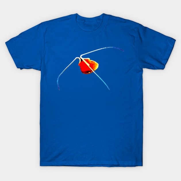 27thcentury's tweet image. Rare jellyfish artwork on T-Shirts at 
teepublic.com/t-shirt/707424… #boomchallenge #JELLYFISH #oceans #sea #art #xart #digitalart #teepublic #redbubble #redbubblehelp #GoldenGlobes @1rmn @AMAZlNGNATURE @Jellyish_ @CodeTeepublic @designsvogues @TeePublicHelp @teepublic_usa @TeePublic