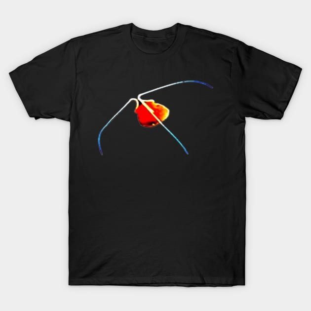 27thcentury's tweet image. Rare jellyfish artwork on T-Shirts at 
teepublic.com/t-shirt/707424… #boomchallenge #JELLYFISH #oceans #sea #art #xart #digitalart #teepublic #redbubble #redbubblehelp #GoldenGlobes @1rmn @AMAZlNGNATURE @Jellyish_ @CodeTeepublic @designsvogues @TeePublicHelp @teepublic_usa @TeePublic