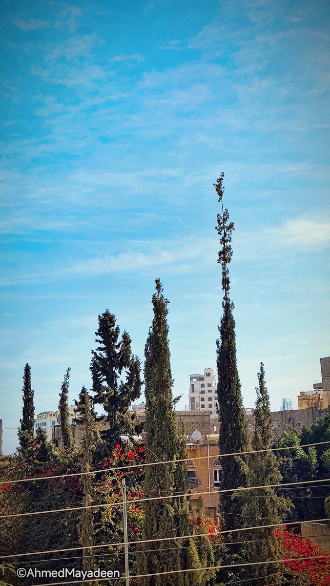 AhmedMayadeen's tweet photo. 📸 Morning Tuesday 2025..
Even #Delays are #blessings,
Trust in Allah's #Wisdom &
#Keep_Working..
حتى #التأخير_نعمة،
ثق بـ #حكمةاللّه
و #استمر_في_العمل https://t.co/r7qSZ1esOM
