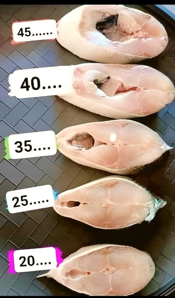 EmmiDidi tweet media