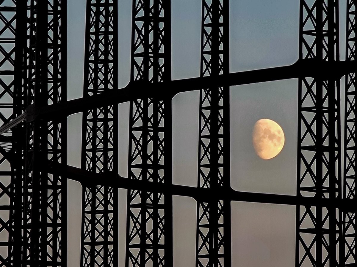 Alastair Hilton tweet media