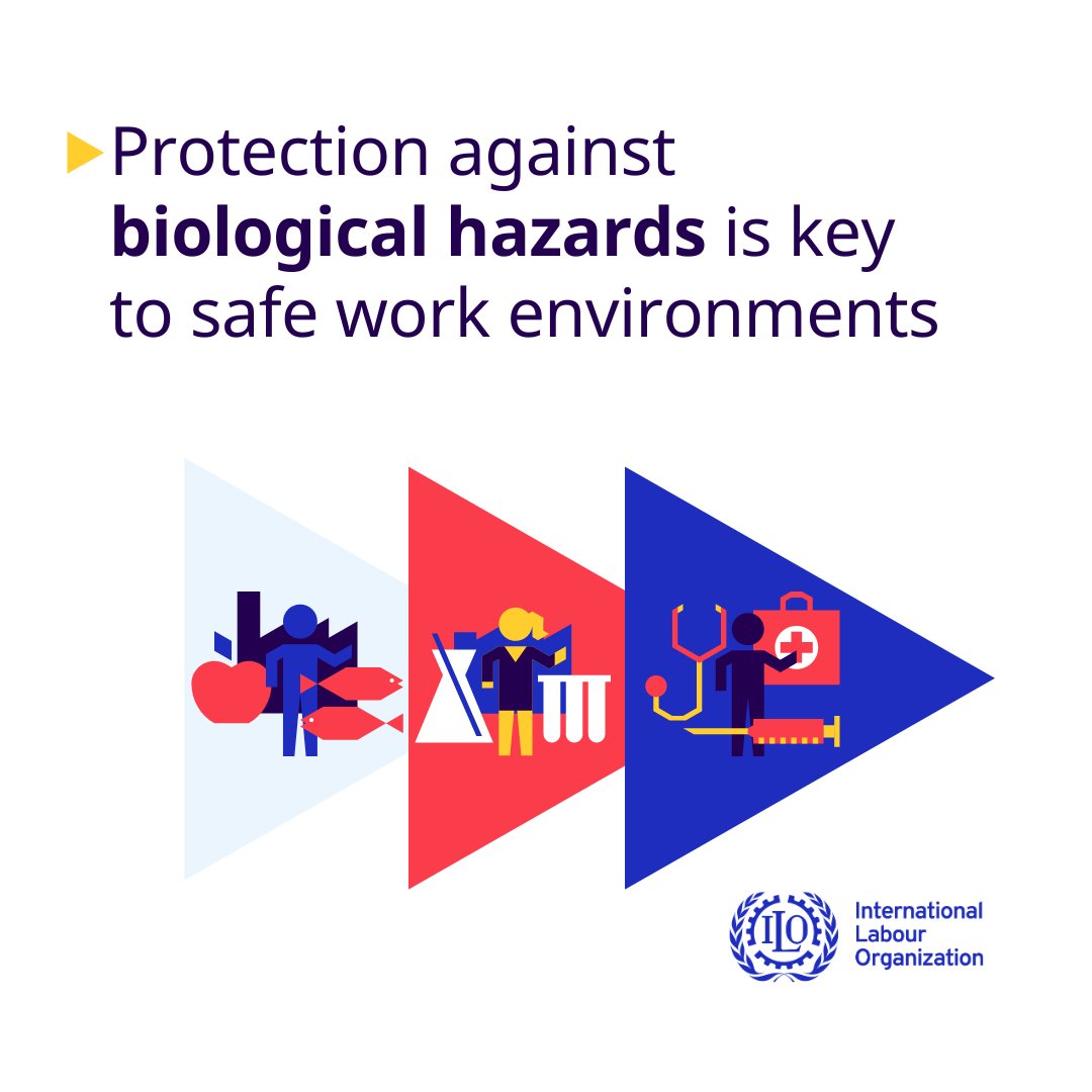 International Labour Organization (@ilo) on Twitter photo Protection against biological hazards is essential for safe work environments. 
From healthcare to agriculture, effective safety measures help safeguard workers' health and promote a human-centered future of work. Protection against biological hazards is essential for safe work environments. 
From healthcare to agriculture, effective safety measures help safeguard workers' health and promote a human-centered future of work.
