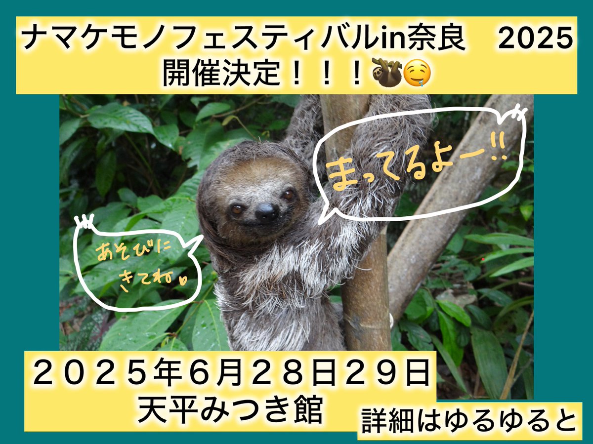 ナマケモノ研究所(The sloth research center)🦥 (@sametyphoon) / X