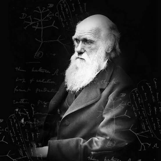 LifeInHistory's tweet photo. It is not the strongest of the species that survives, nor the most intelligent, but the one most responsive to change.

- Charles Darwin. https://t.co/NAzabWvOU8