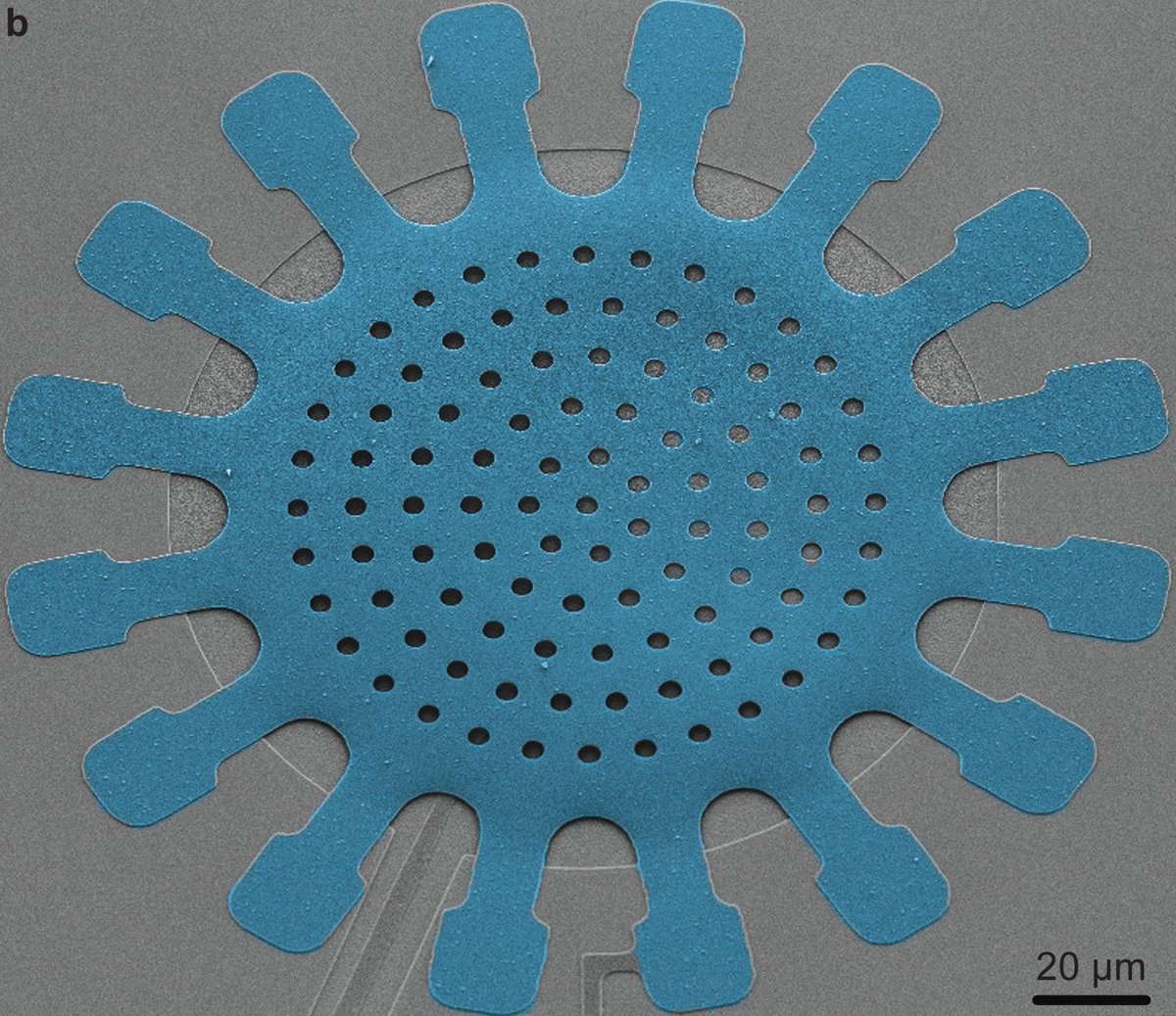 Proud to share the details of the 'secret recipe' for our compact, low-loss vacuum-gap capacitors! Ideal for both optomechanics and circuit QED applications. Dive into it here: arxiv.org/abs/2501.03211