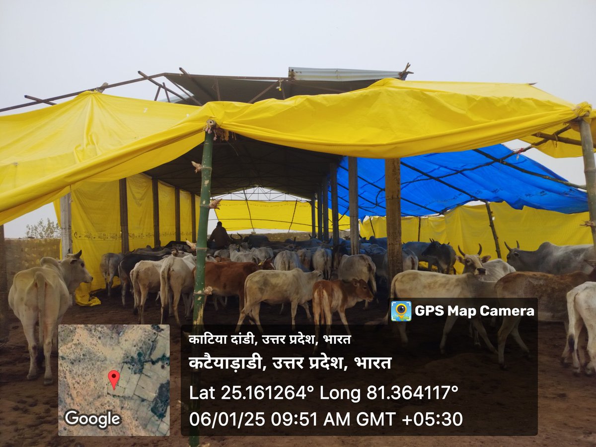 Maneesh3251MC's tweet photo. गौशाला कटैयाडांडी https://t.co/zgeil6lm4u