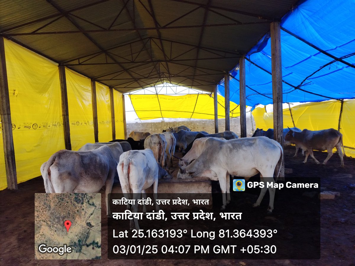 Maneesh3251MC's tweet photo. गौशाला कटैयाडांडी https://t.co/zgeil6lm4u