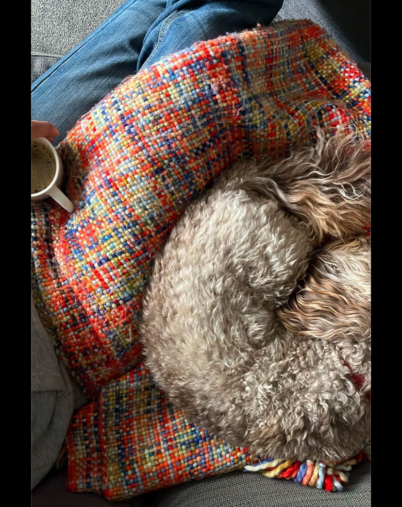 Having had a well deserved rest, we are now back to work (despite the snow, ice and cold). If you need any supplies but are not venturing out, give us a call on 0113 232 0072 or if out and about, swing by Unit G, #leeds LS14 2AQ. #trades #joinery #builders #roofing #roofers #diy