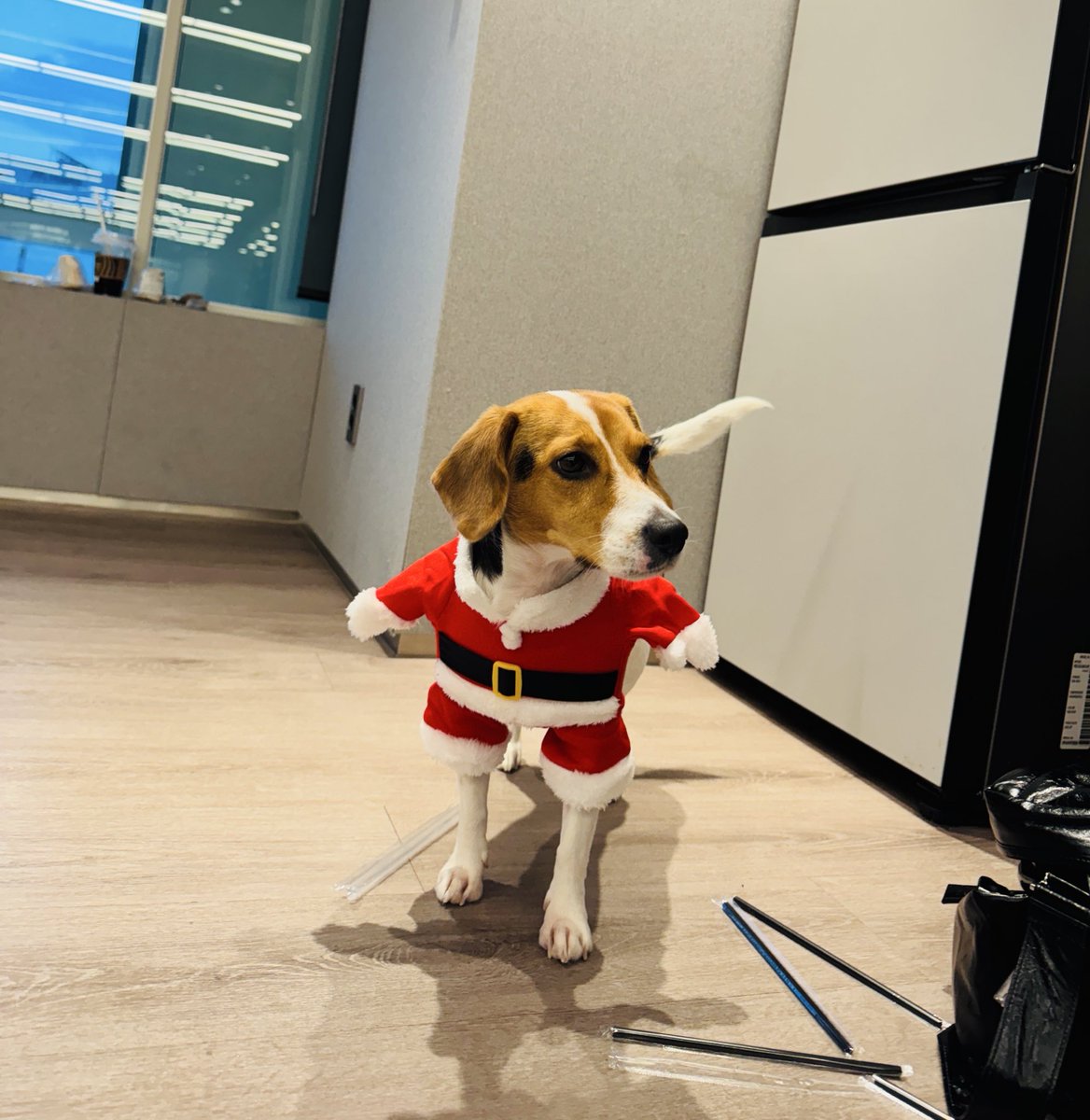 smoldejuns's tweet image. xiaojun 🫧

'haha, bought this during christmas but had no occasion to wear it'

BELLA 😭😭😭