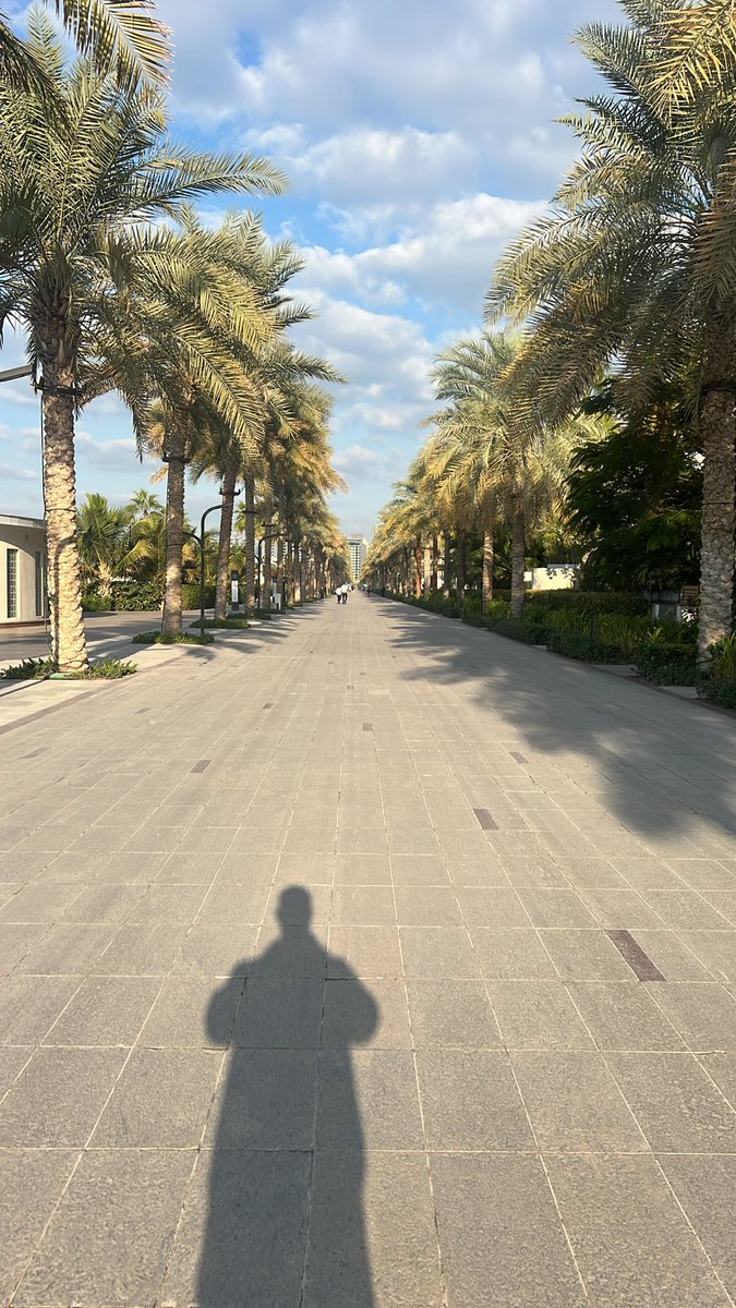 Jimmy_Mozza's tweet image. Morning steps.