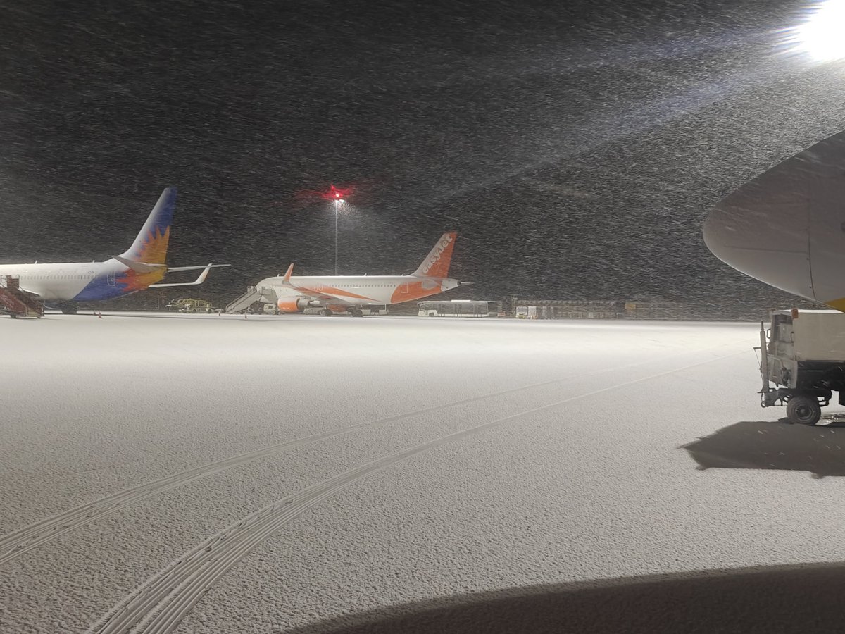 Charlie Haskayne tweet media