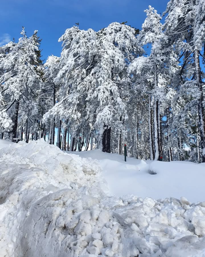 Winter magic in Troodos! ❄️☃️ Serene snowy landscapes, crisp mountain air, and pure tranquillity. Who’s ready to explore Cyprus in its cosiest season? 🌨️❤️ #visitcyprus #Troodos #LoveCyprus
📷 IG nora_michael