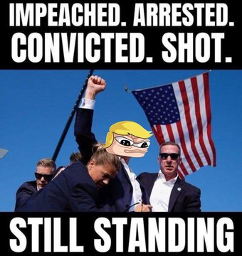 trumpe tweet media