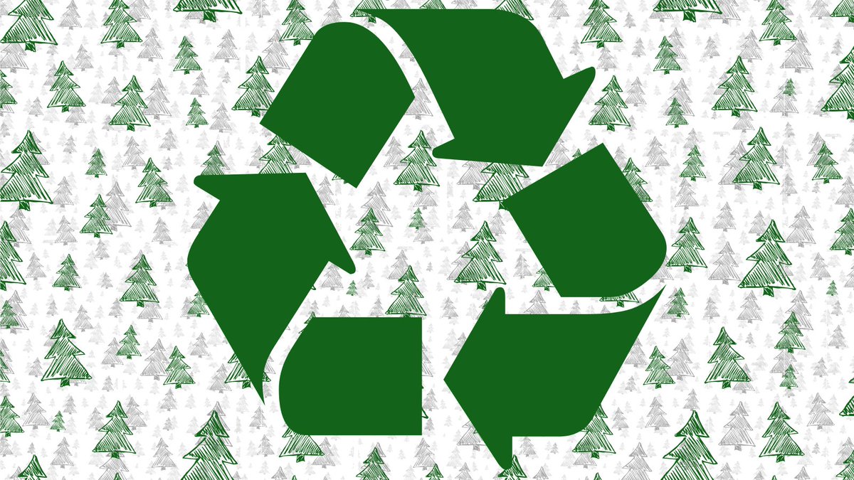 Did you know that around 8 million real Christmas      trees are purchased each year in the UK? That’s 8 million trees that can be recycled, unlike an artificial tree. For some helpful options on recycling your real Christmas tree, visit our website: solihull.gov.uk/Rubbish-and-re…