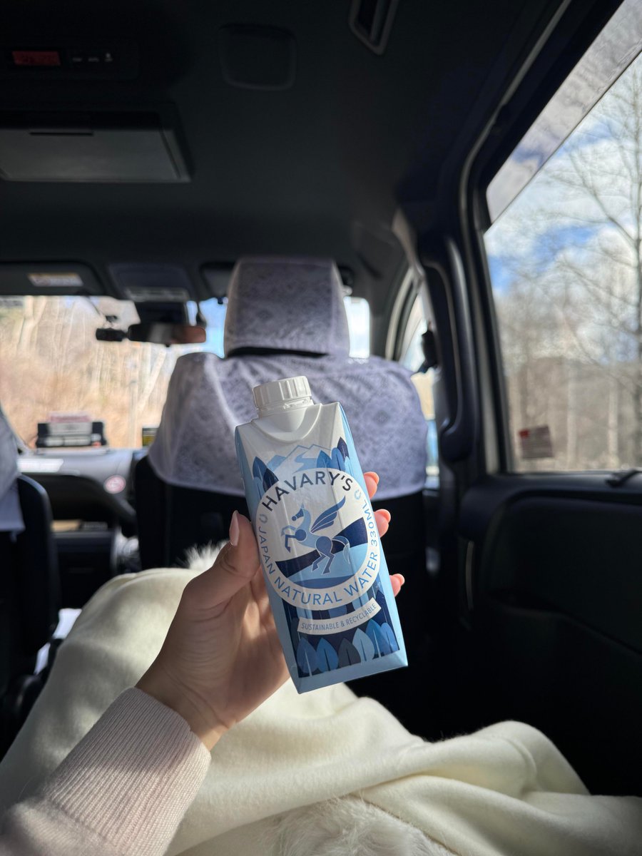 風の精霊 tweet media