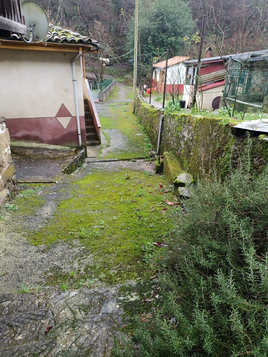IUSamartin's tweet photo. EL FRESNEDAL

Hoy ponemos voz a los vecinos/as de El Fresnedal, en la zona de Santa Bárbara, debido al estado del camino público, que está muy deteriorado. Pedimos al @SanMartin_ayto que se valore la situación y se determinen las actuaciones y obras correspondientes.👇🏻 https://t.co/a4HxRlsf2i