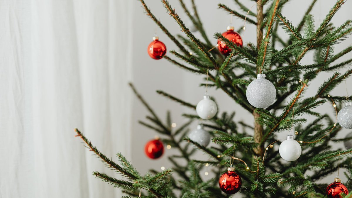 Want a real Christmas tree but not the hassle of disposing of it afterwards? Did you know you can rent a real Christmas tree, hassle free? Simply rent a tree for the season and then they’ll collect and replant ready for next year!