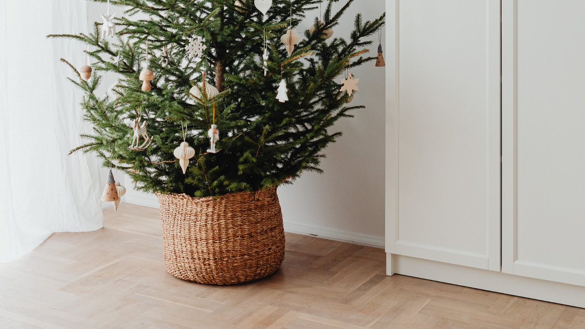 There’s nothing better than a real tree at Christmas. If your tree has roots, why not replant it in a pot in your      garden and use it again next year.