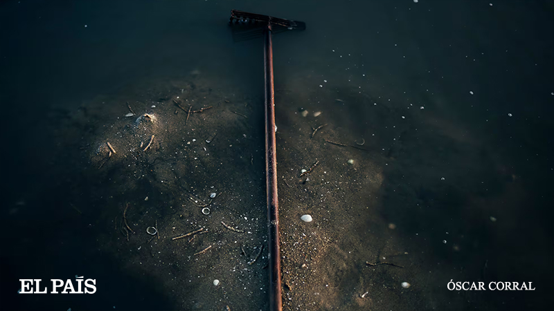 ‘Marisqueiro’

🔗 acortar.link/CtYmgq

Por toda la costa gallega se pueden ver señales con una advertencia escrita en un rojo intenso: prohibido mariscar de todo.

📷 Óscar Corral <a href="/corralfoto/">Óscar Corral</a>