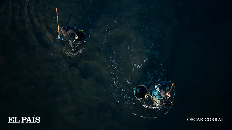 ‘Marisqueiro’

🔗 acortar.link/CtYmgq

Por toda la costa gallega se pueden ver señales con una advertencia escrita en un rojo intenso: prohibido mariscar de todo.

📷 Óscar Corral <a href="/corralfoto/">Óscar Corral</a>