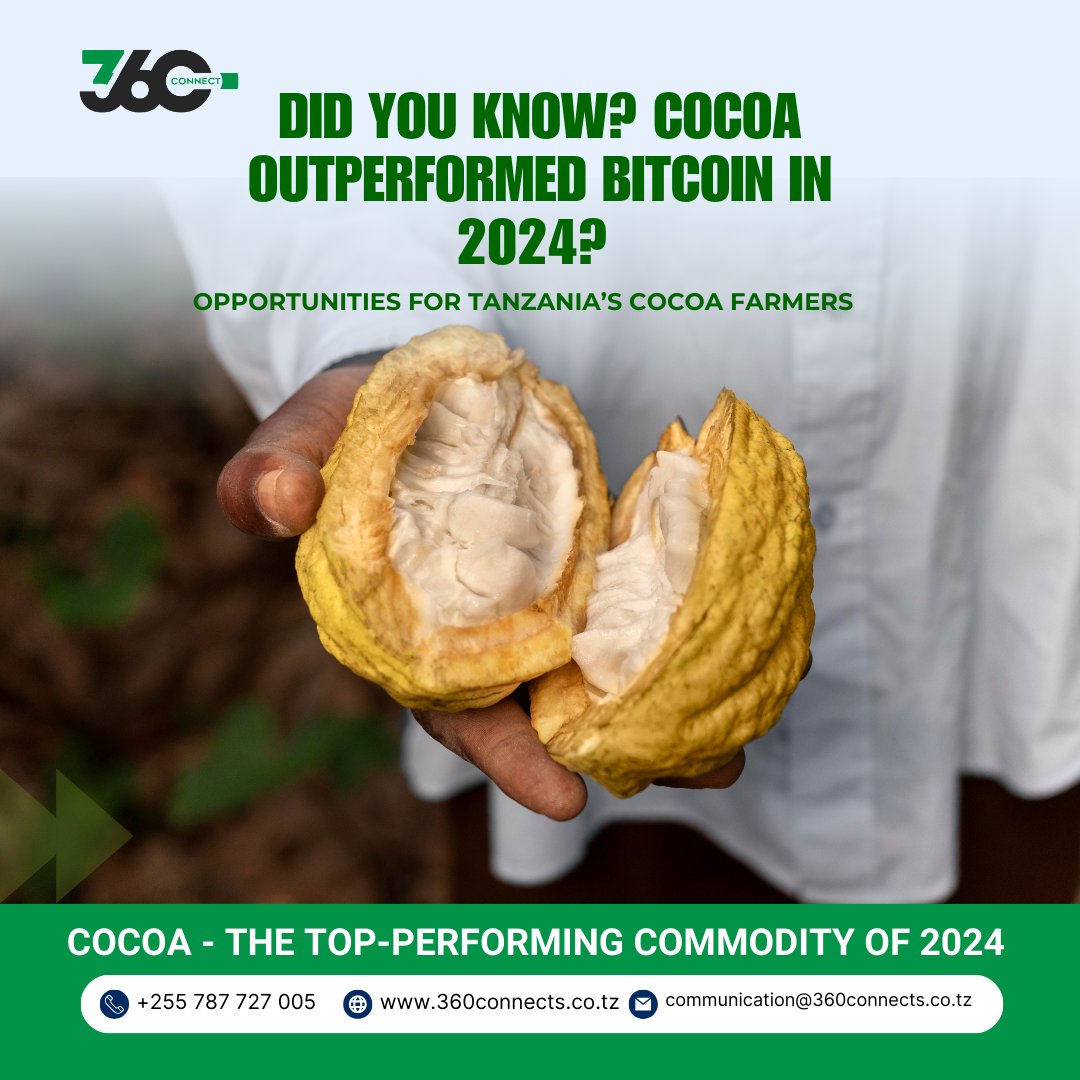 360connects's tweet image. Cocoa topped 2024 commodities, outperforming Bitcoin with prices soaring 66% to $11,722/ton.

Tanzania’s cocoa farmers in Mbeya, Morogoro, &amp;amp; Kyela can step up to meet global demand. Let’s empower them with training, market access, &amp;amp; digital tools!

#Cocoa2024 #360Connect