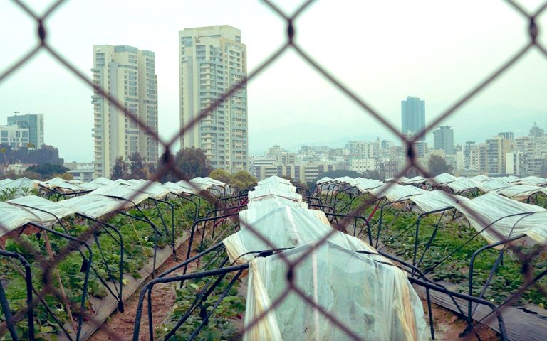 In light of events #Syria concerning disappearances and release of prisoners - including Lebanese, we are keen to use ‘The Soil and The Sea’ to trigger conversations and would be happy to book the film in cinemas, universities, community spaces. 
DM or email through website